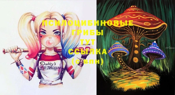 спиды Абаза