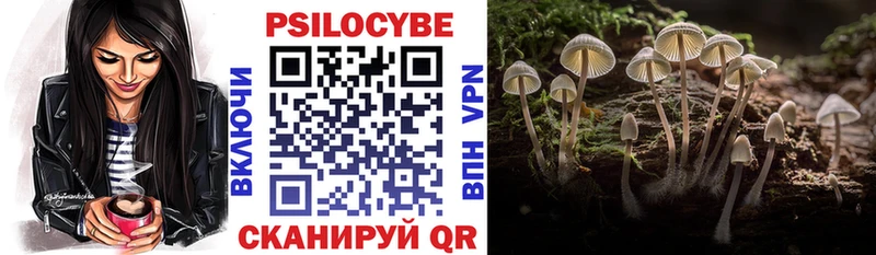 Псилоцибиновые грибы мухоморы где продают Инсар